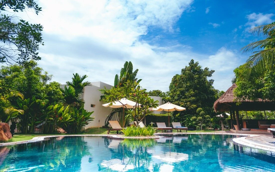 Palm Tree Pool